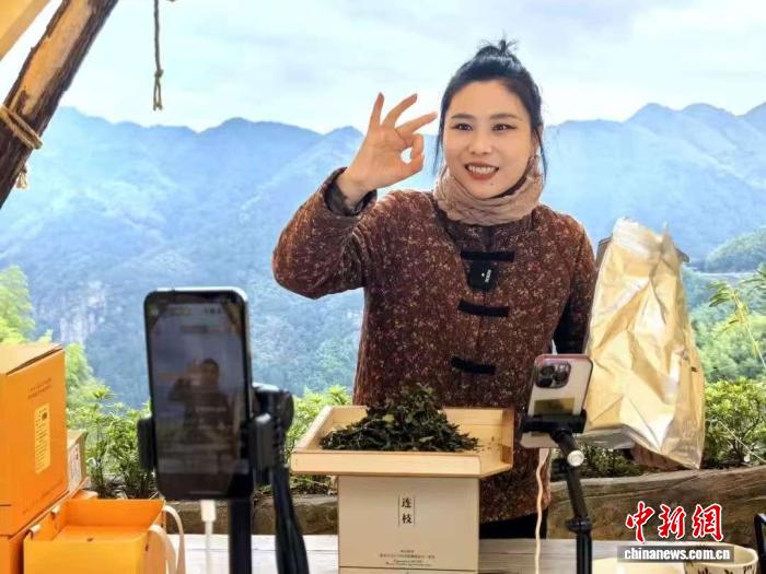 茶山变直播间   闽北返乡青年带火乡村特产与文旅