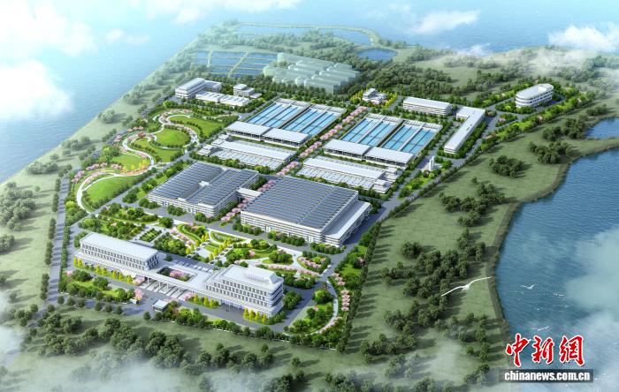 华中最大“双膜”工艺应急水厂具备通水条件